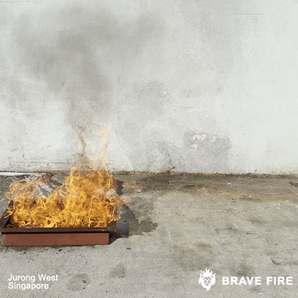 Brave Foam Fire Extinguisher 1000ml